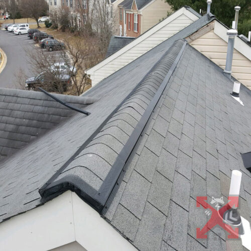 Squirrel Damage Repair